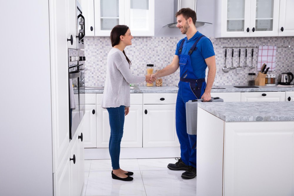 Top Signs You Need Professional Pest Control in High Country Homes
